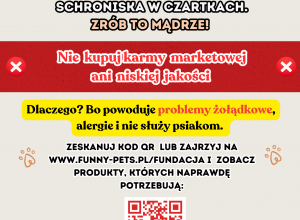 Pomóż zwierzakom ze schroniska w Czartkach!